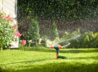 Dlaczego trawnik brązowieje?