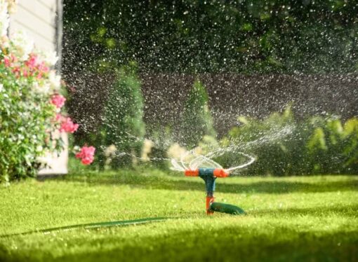 Dlaczego trawnik brązowieje?